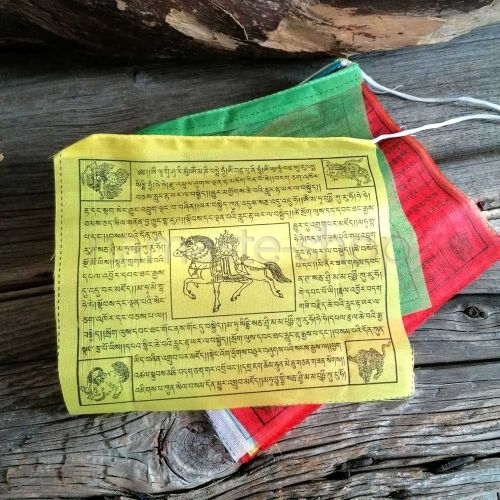 Filo 20 da 5 Metri - Bandiere di Preghiera Tibetane da 25cm