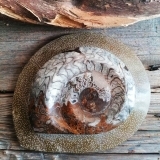 Grande Ammonite - Pietra Pachamama - PEZZO UNICO