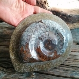 Grande Ammonite - Pietra Pachamama - PEZZO UNICO