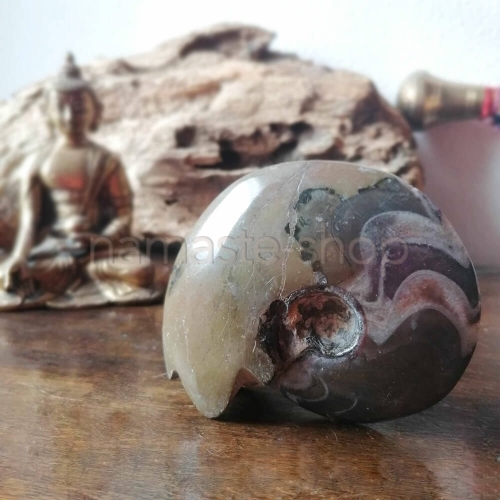 Ammonite Intera - Pietra Pachamama - Cod. AMO1
